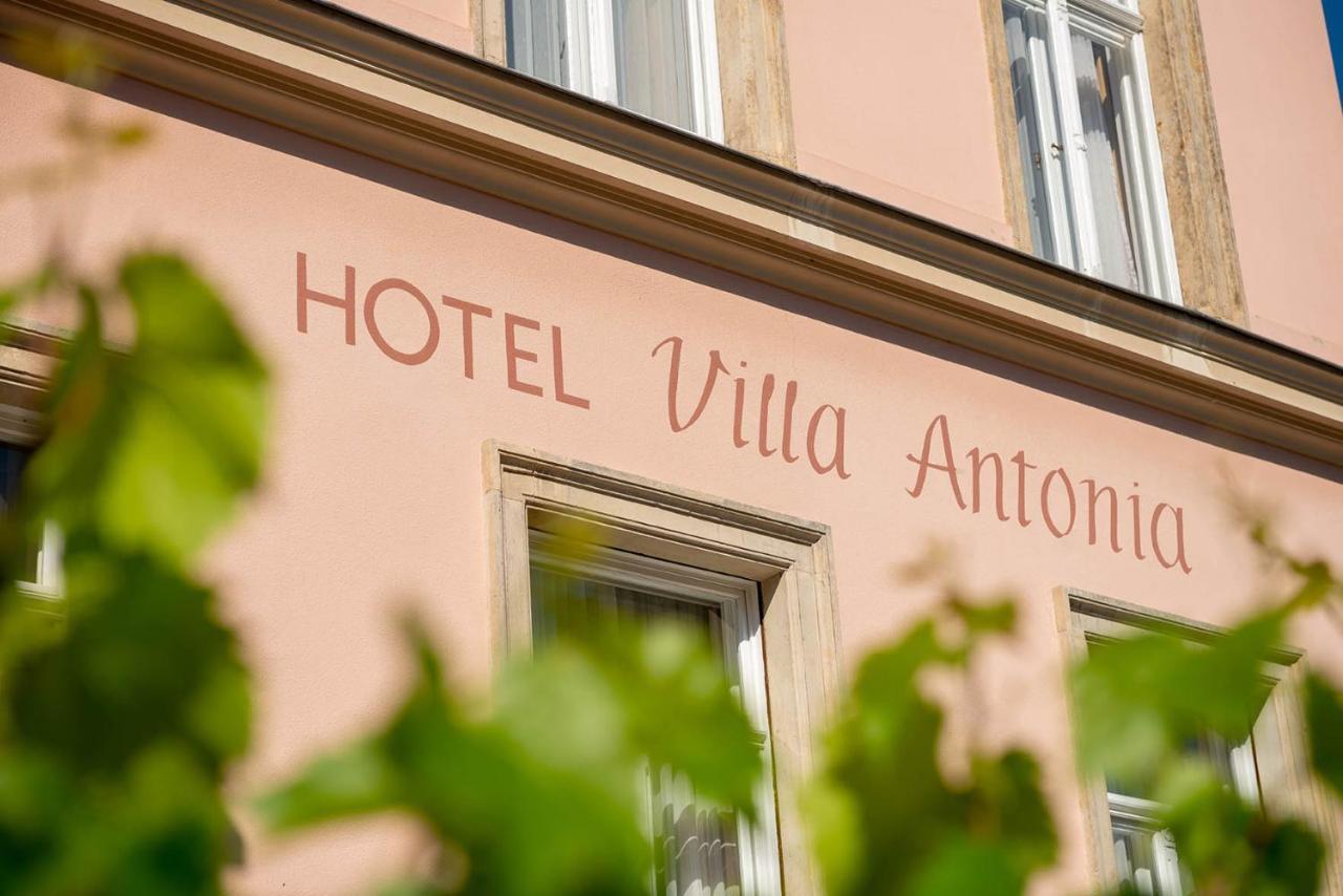 Villa Antonia Bautzen Buitenkant foto